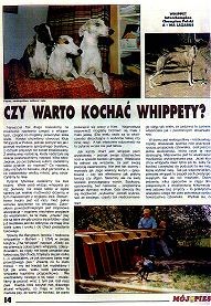 Rozmiar: 25428 bajtów