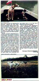 Rozmiar: 16210 bajtów