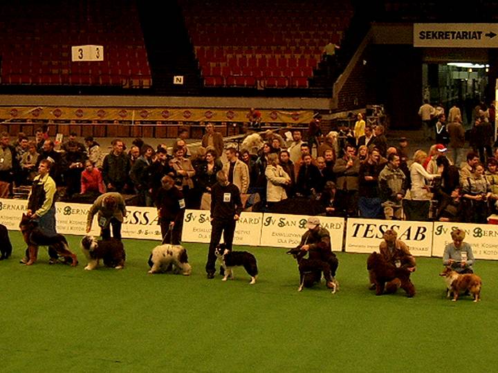 Nast\u0119pne zdj\u0119cie