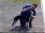 TOMEK